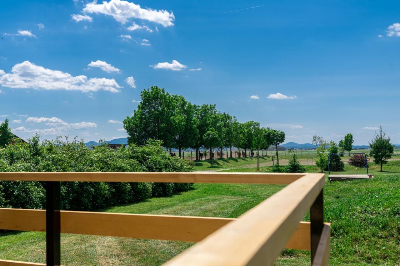 Horse Glamping Park Hotel Cirkovce Eksteriør billede